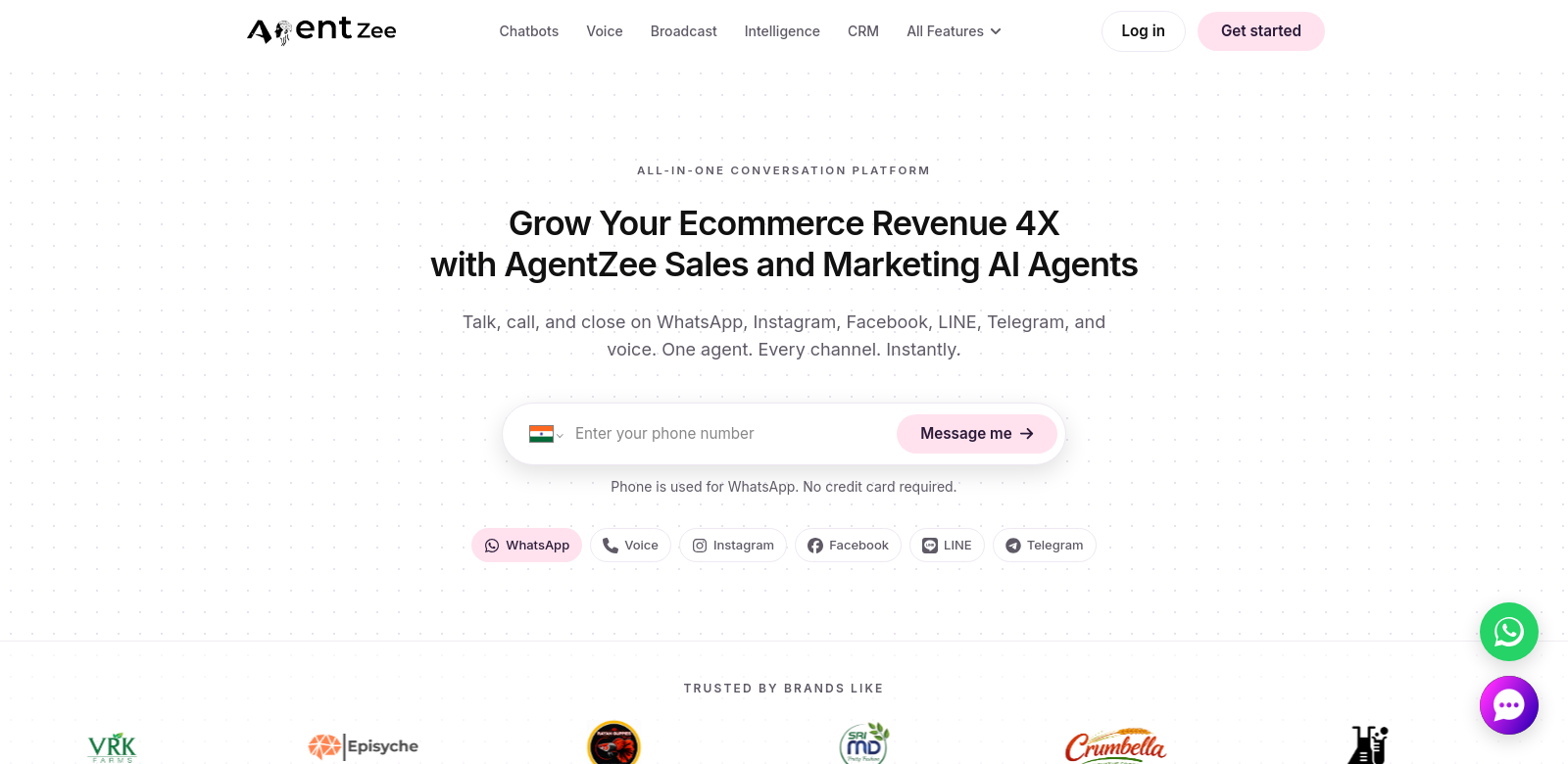 AgentZee screenshot