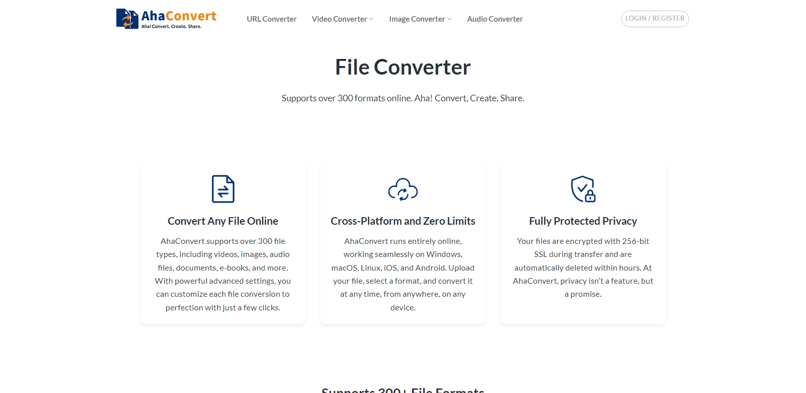 AhaConvert screenshot