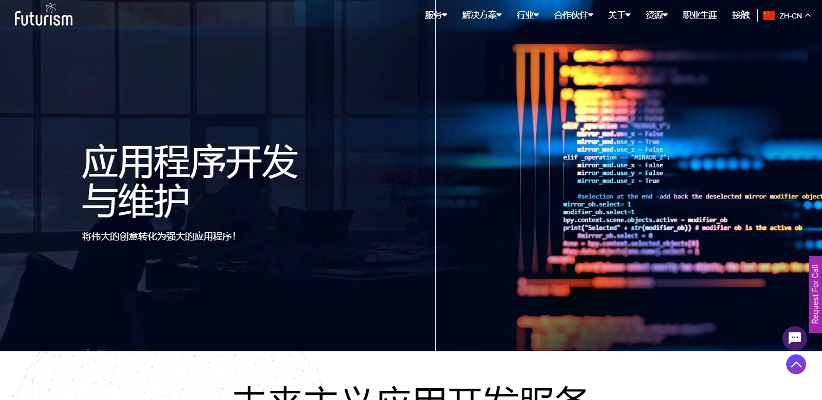 Custom App Development & Maintenance Services screenshot