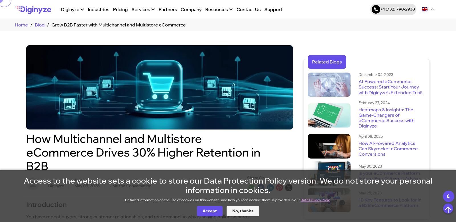 Diginyze: Multichannel & Multistore eCommerce for B2B Guide screenshot