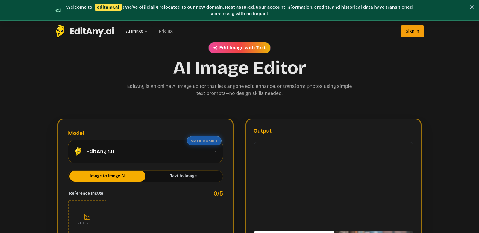 EditAny AI screenshot