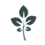 GrapeVine Social logo