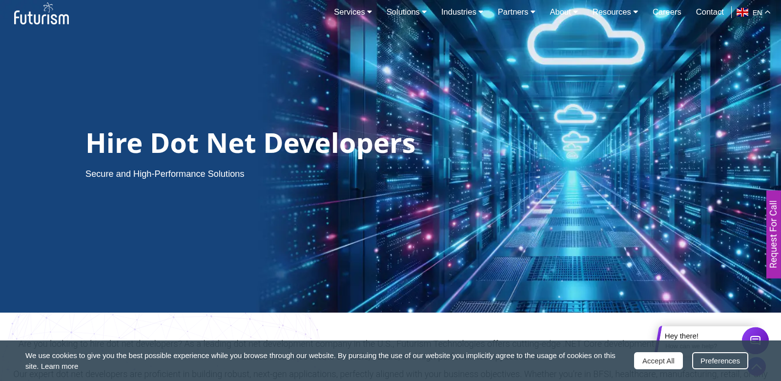 Hire the Best .NET Core Developers  screenshot