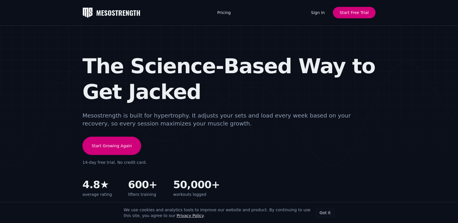 Mesostrength screenshot