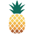 Pineapple Kamil Daniel logo