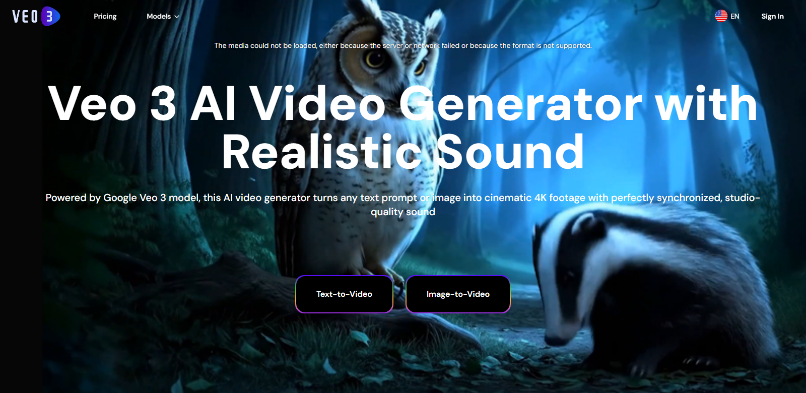 Veo 3 AI Video Generator screenshot