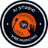 Vibe Musicing logo
