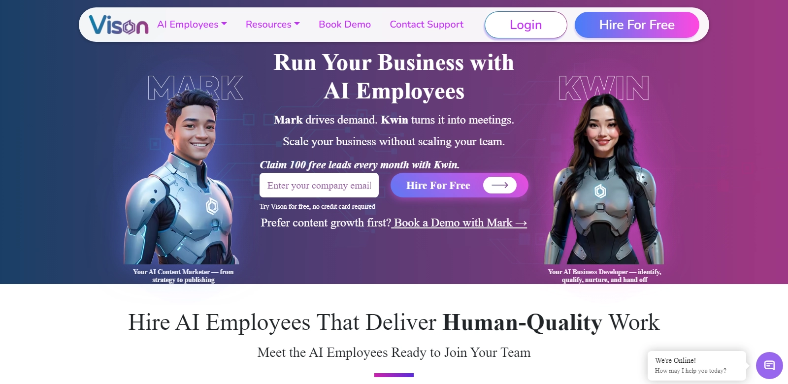 Vison AI screenshort