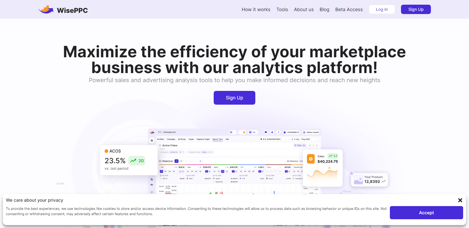 WisePPC screenshort