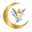 Youluxeo logo